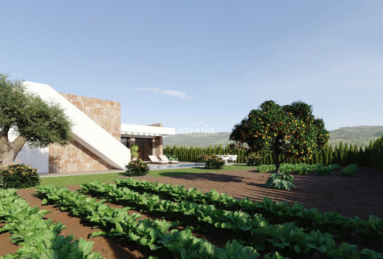 Obra nueva - Chalet -
Fuente Álamo - Hacienda del Alamo