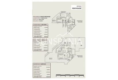 New Build - Apartment / flat -
Calpe - Playa De La Fossa