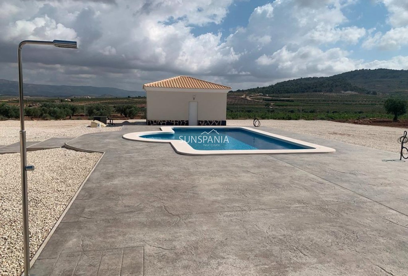 New Build - Villa -
Pinoso - Camino Del Prado