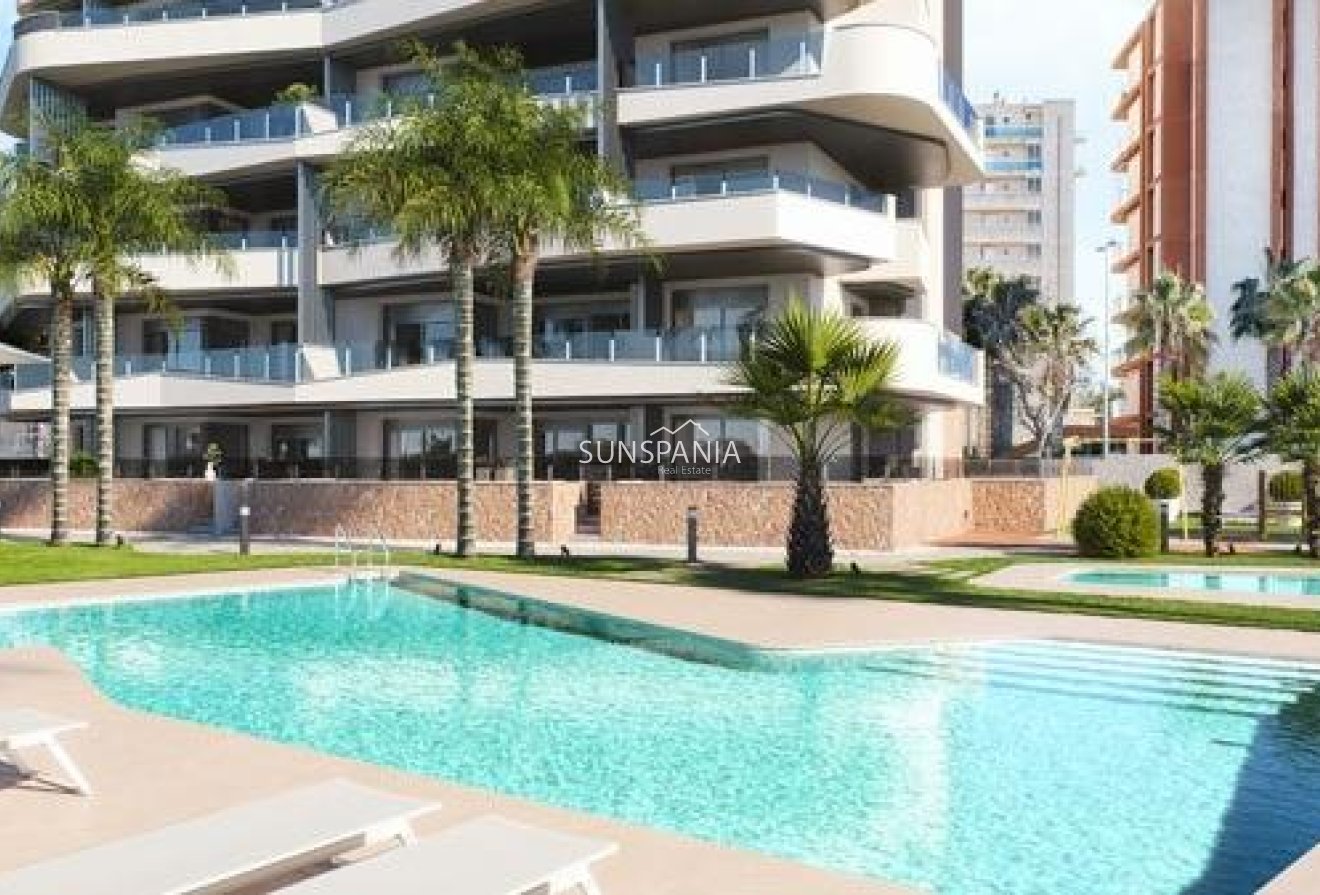 New Build - Apartment -
Guardamar del Segura - Puerto