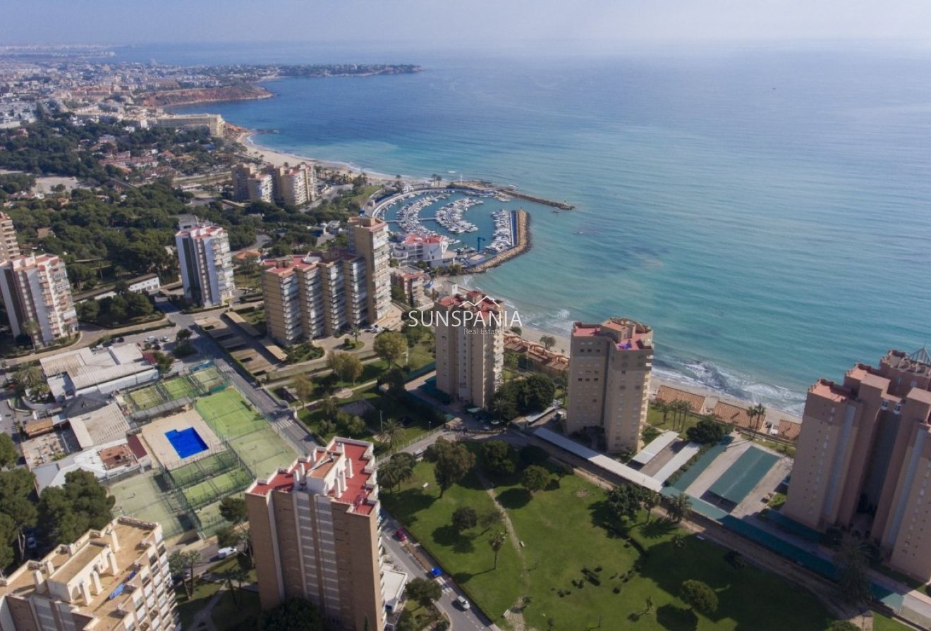 Obra nueva - Apartment -
Orihuela Costa - Campoamor