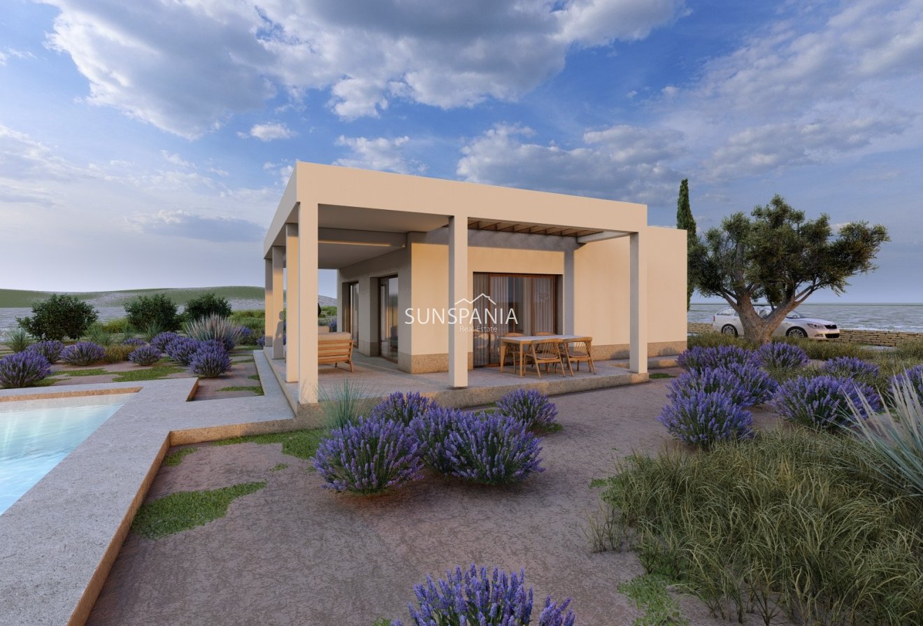 New Build - Villa -
Pinoso - Pinoso - El Pinós