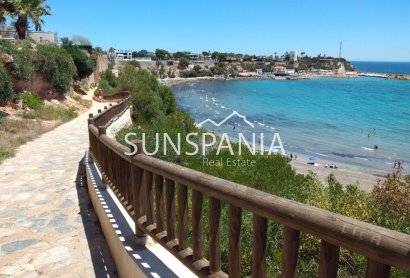 Obra nueva - Apartment -
Orihuela Costa - PAU 8