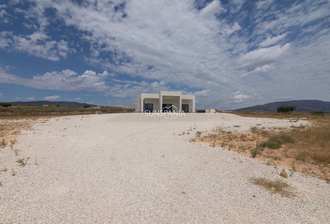 Nouvelle construction - Maison indépendante -
Pinoso - Campo