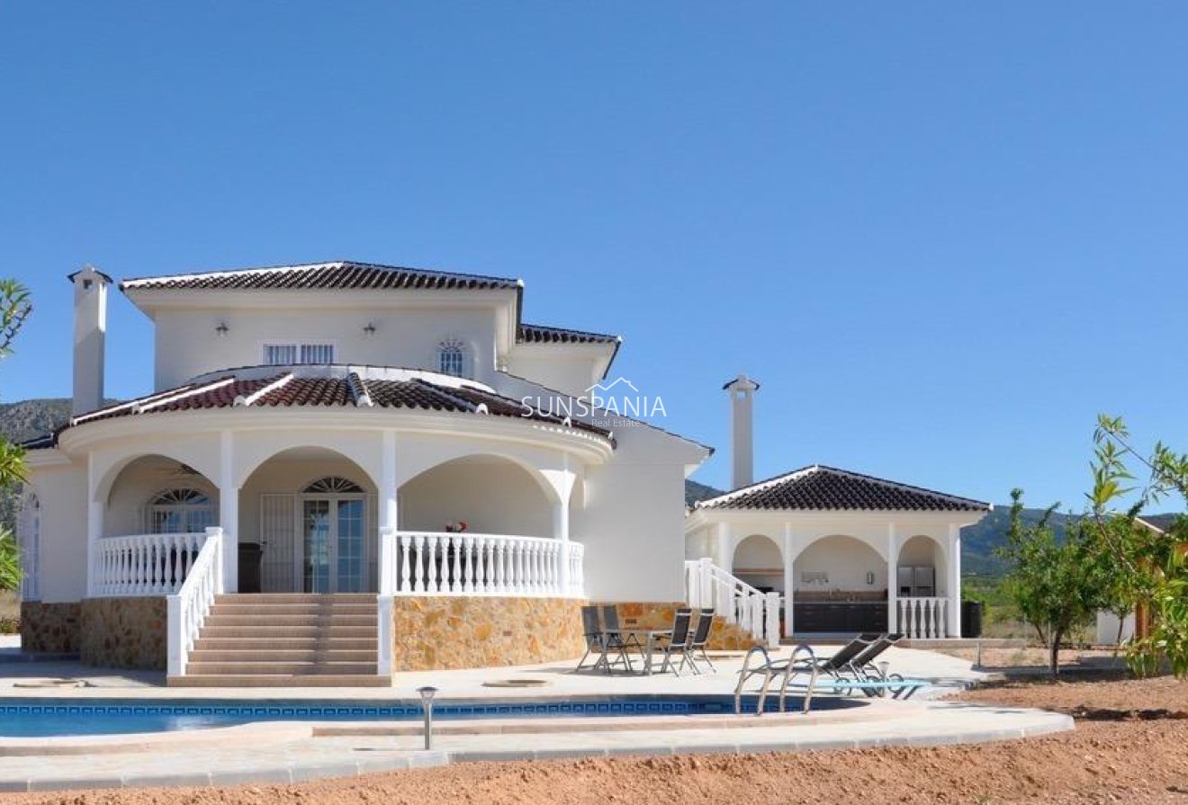 New Build - Villa -
Pinoso - Campo