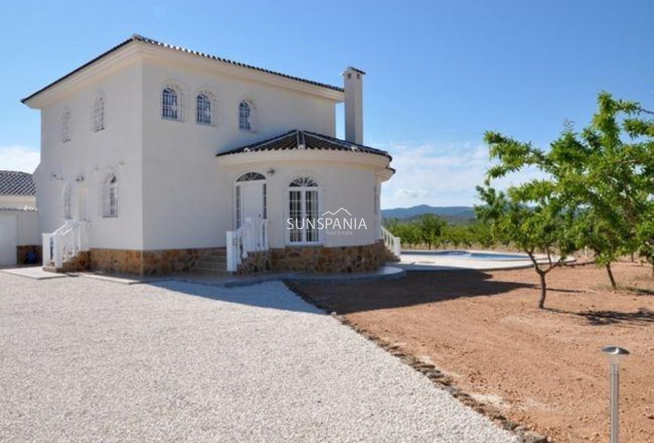 Nouvelle construction - Maison indépendante -
Pinoso - Campo