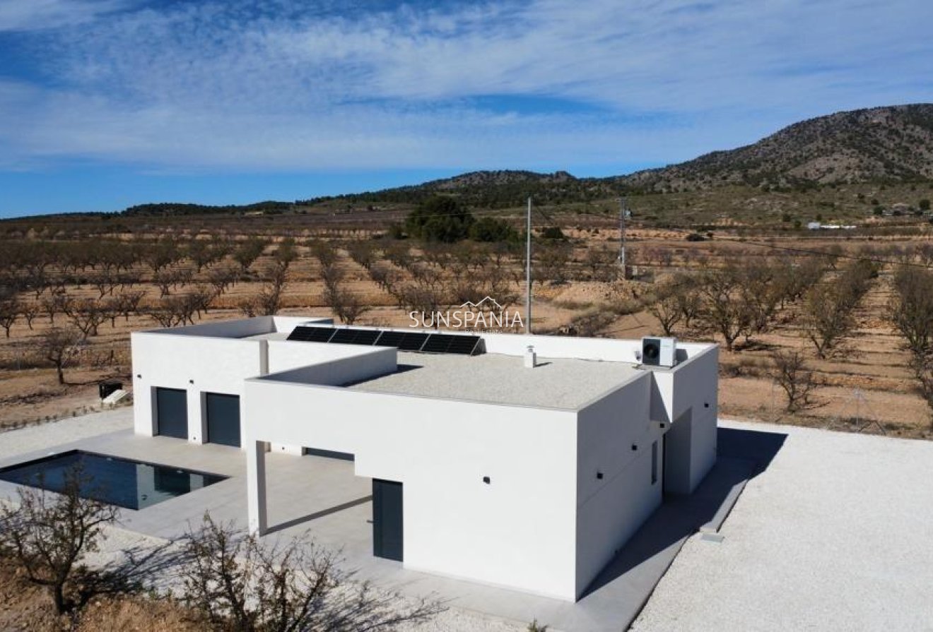 Nouvelle construction - Maison indépendante -
Pinoso - Campo