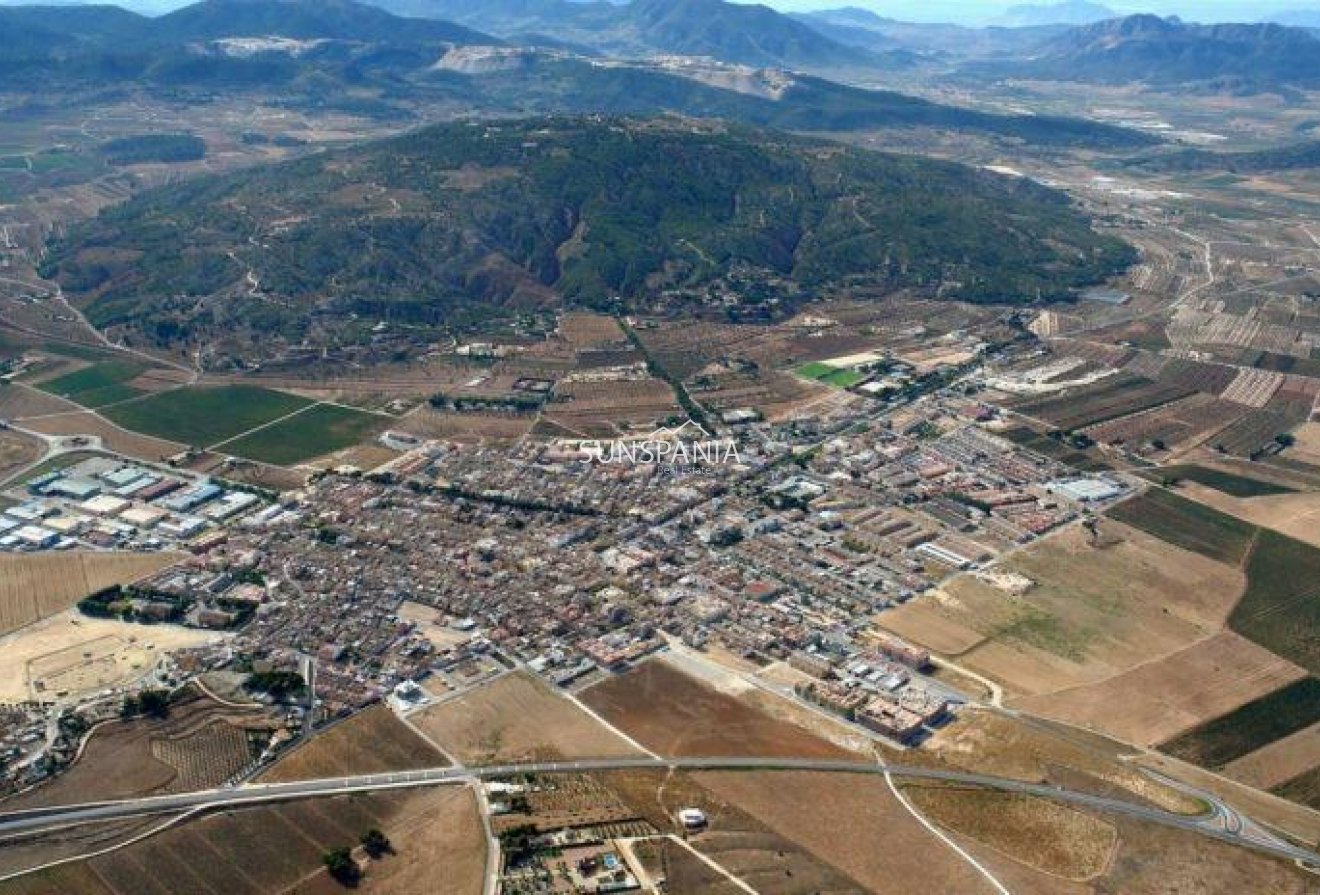 Nouvelle construction - Maison indépendante -
Pinoso - Campo