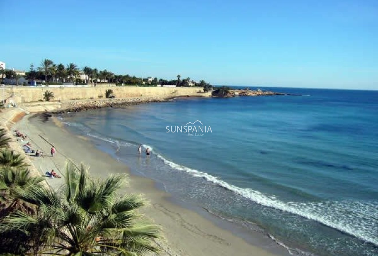 Obra nueva - Chalet -
San Miguel de Salinas - Blue Lagoon