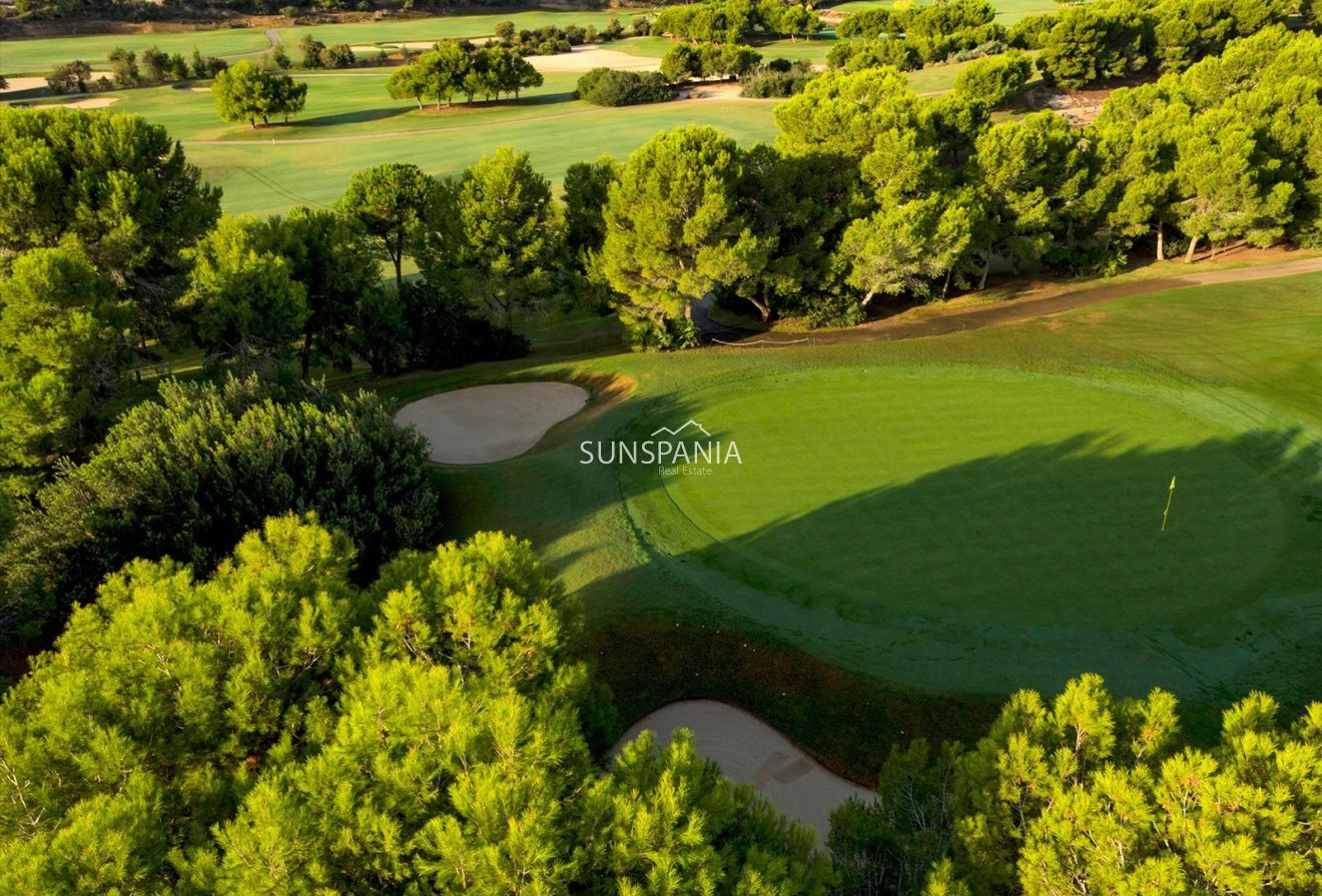 Nouvelle construction - Maison indépendante -
Pilar de la Horadada - Lo Romero Golf