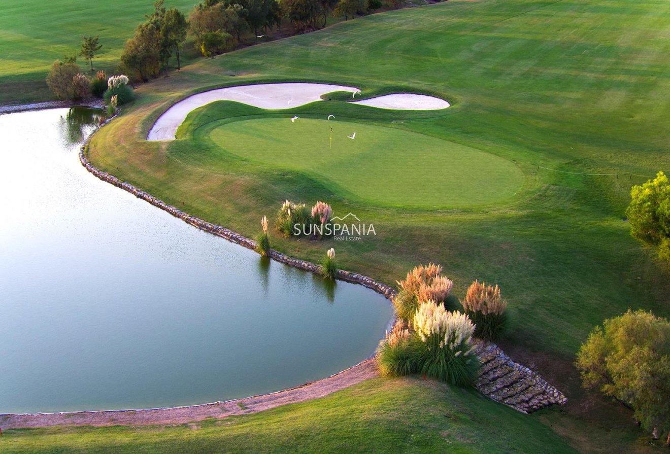 Nouvelle construction - Maison indépendante -
Pilar de la Horadada - Lo Romero Golf