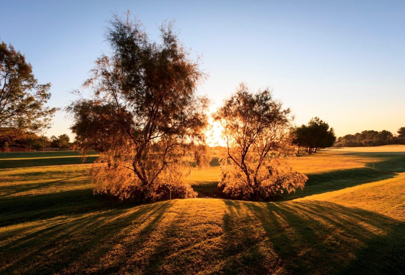 Nouvelle construction - Maison indépendante -
Pilar de la Horadada - Lo Romero Golf