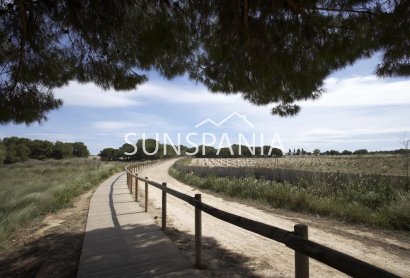 Obra nueva - Piso -
Torrevieja - Altos del Sol