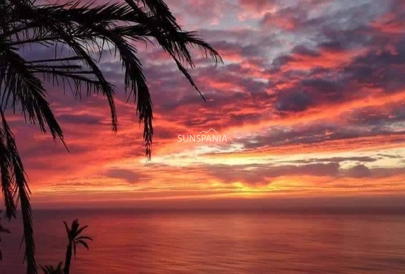 Obra nueva - Piso -
Torrevieja - Altos del Sol