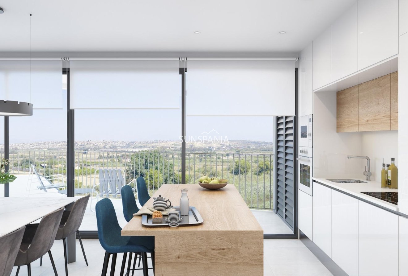 Obra nueva - Ático -
Guardamar del Segura - Avenida del Puerto