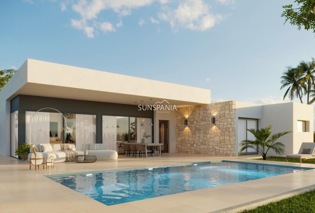 Obra nueva - Chalet -
Aspe - Poligono 19