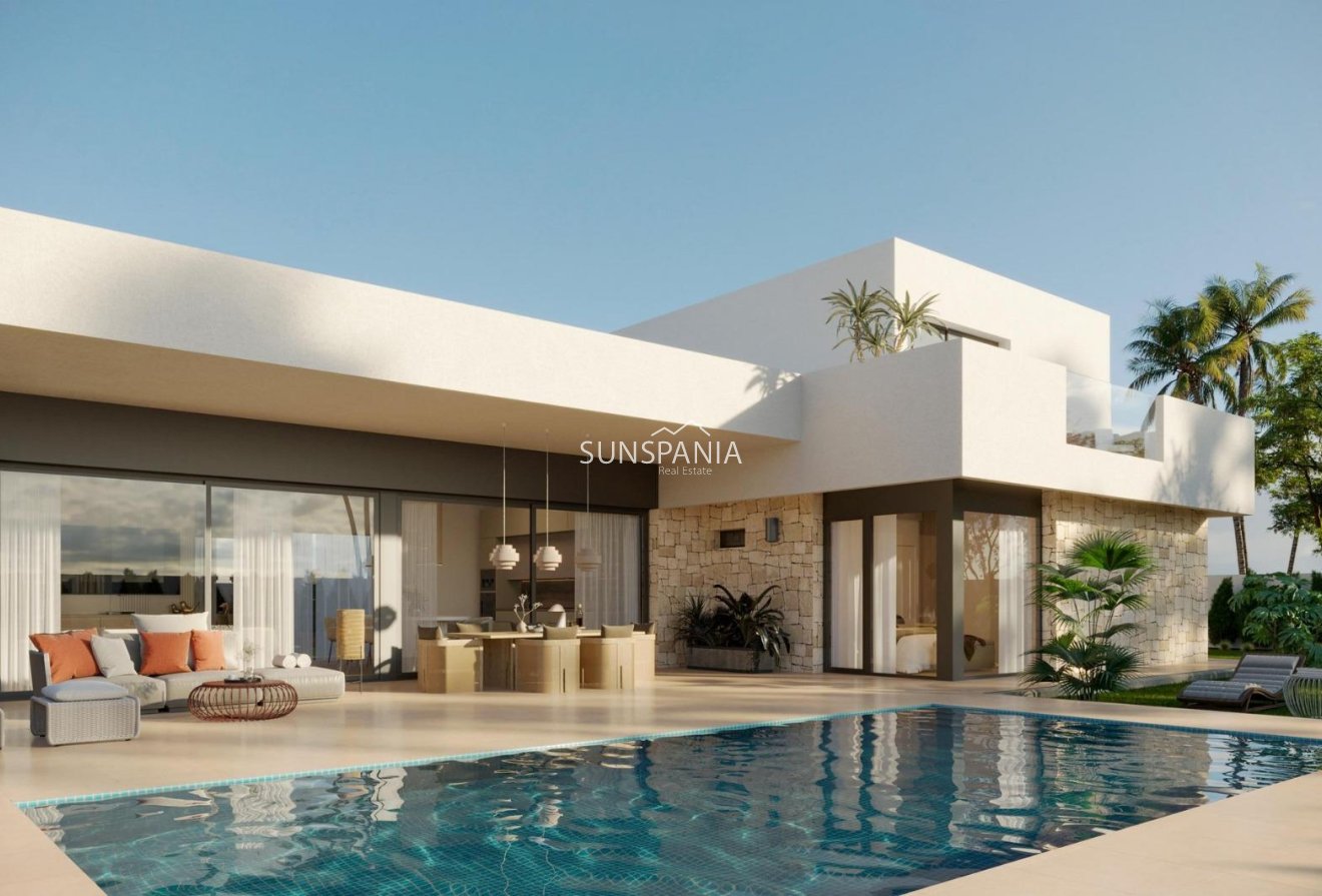 Obra nueva - Chalet -
Aspe - Poligono 19