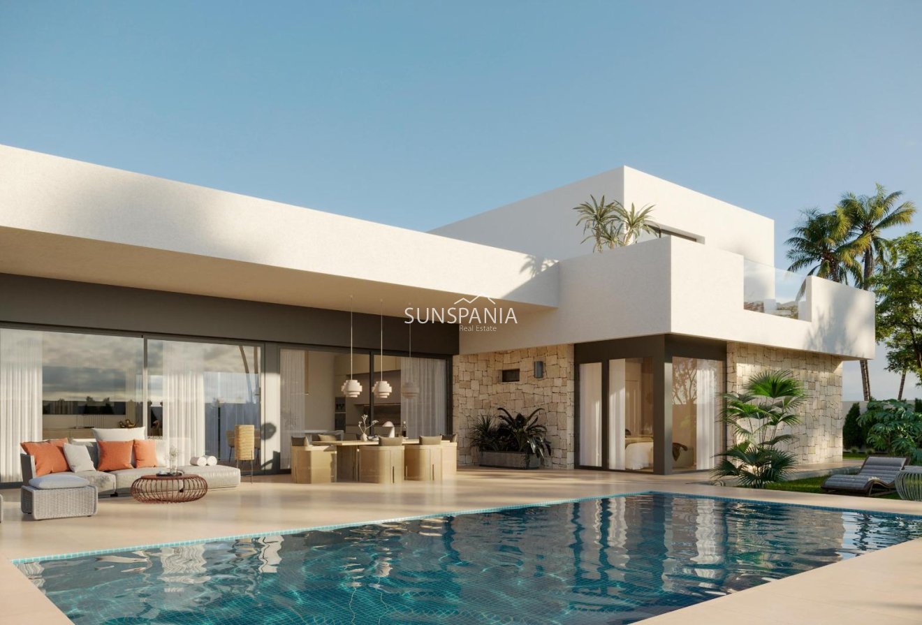 Obra nueva - Chalet -
Aspe - Poligono 19