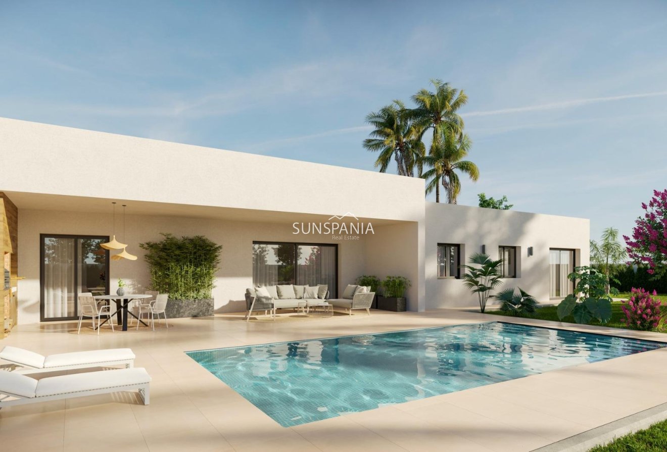 Obra nueva - Chalet -
Aspe - Poligono 19