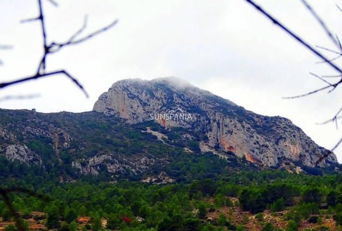 Obra nueva - Chalet -
La Romana - Batistes