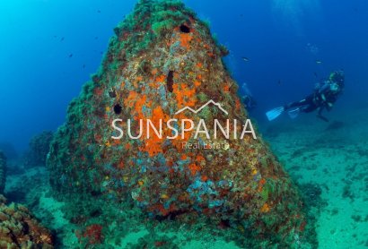 Obra nueva - Ático -
Aguilas - Isla Del Fraile