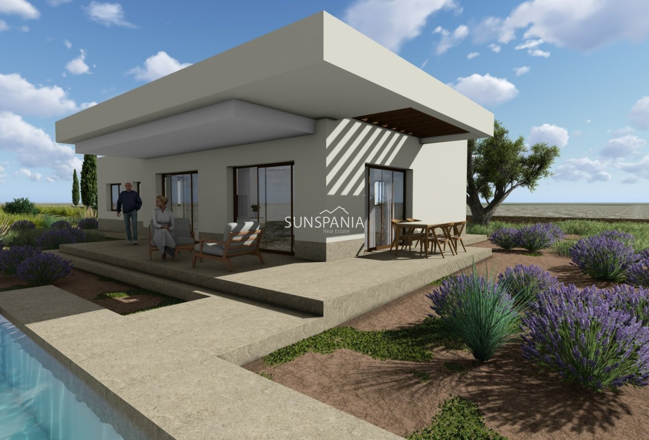 Obra nueva - Chalet -
Pinoso - Pinoso - El Pinós