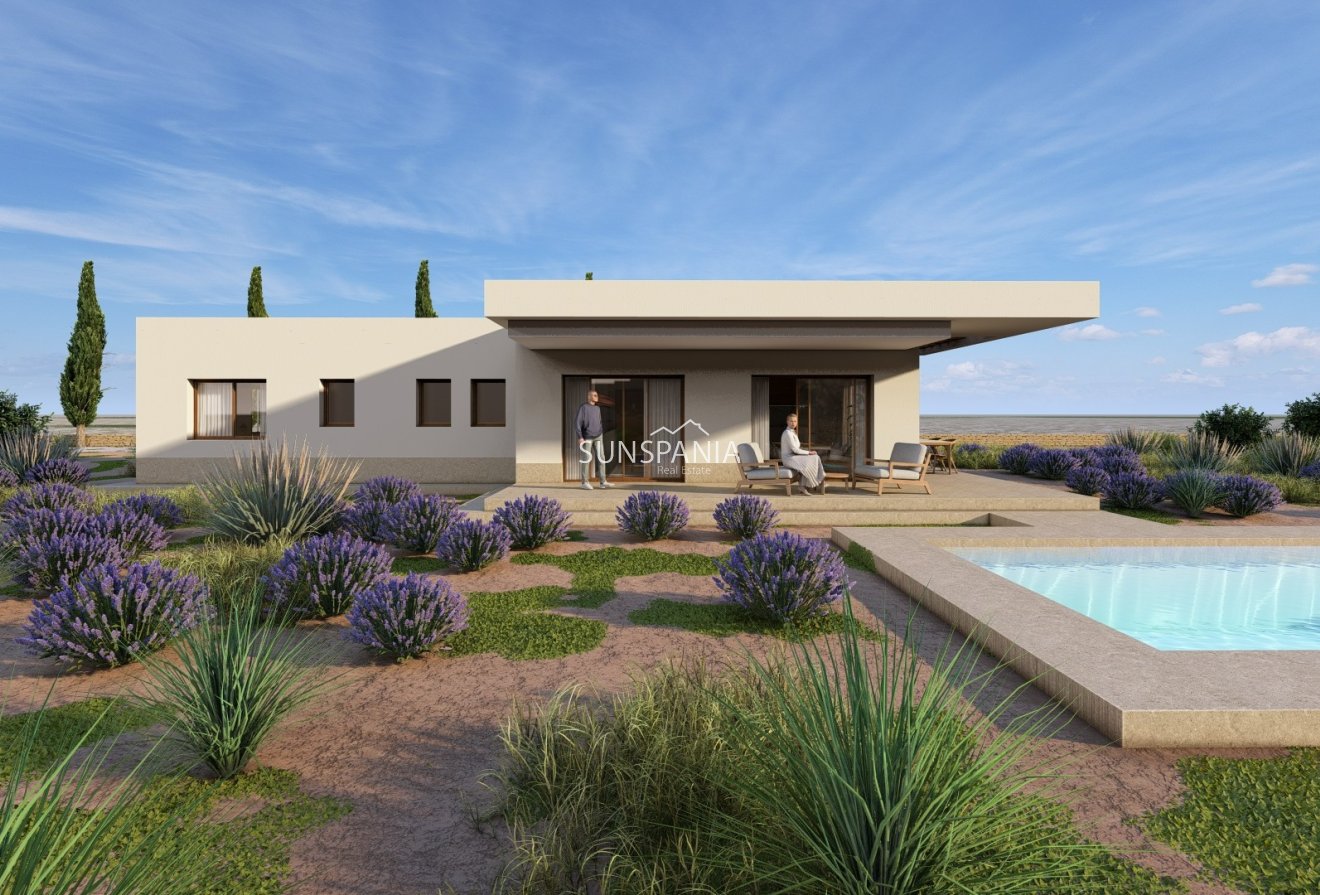 Obra nueva - Chalet -
Pinoso - Pinoso - El Pinós