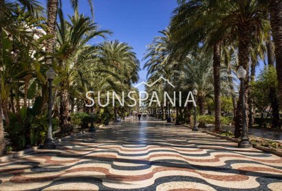 Obra nueva - Piso -
Alicante - Centro