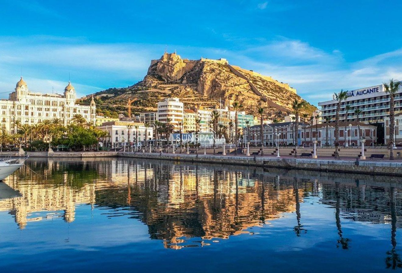 Obra nueva - Piso -
Alicante - Centro