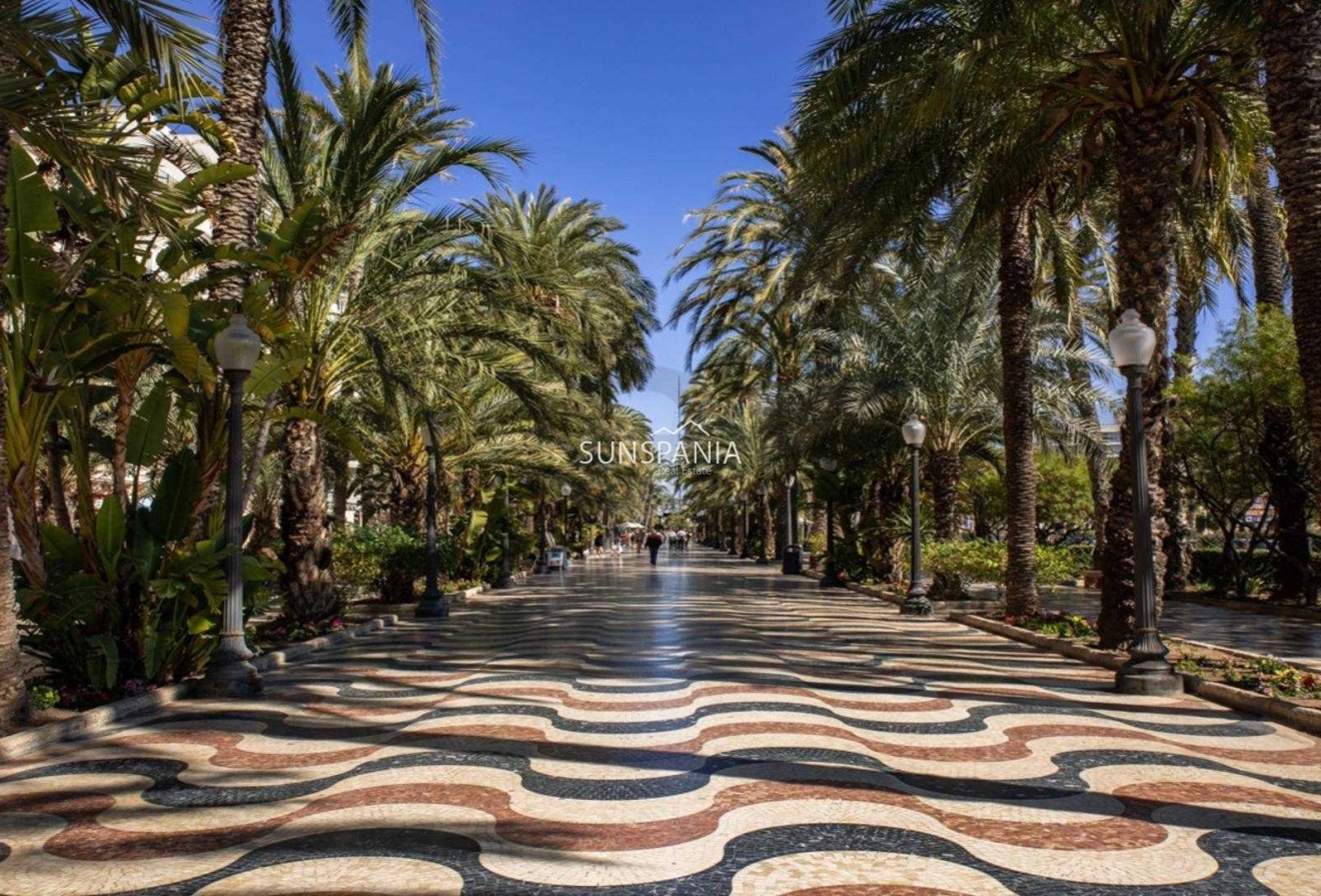 New Build - Penthouse -
Alicante - Centro