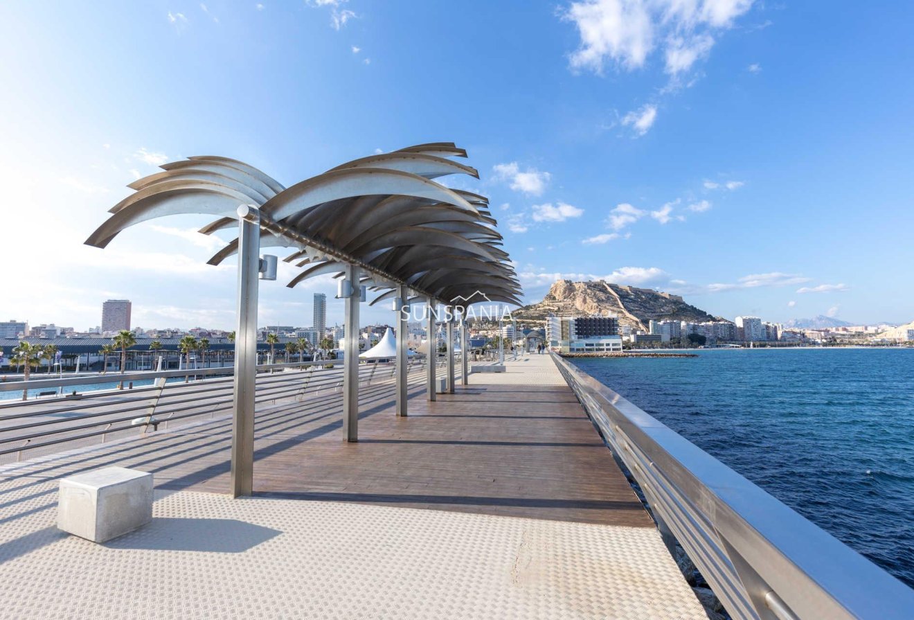 New Build - Penthouse -
Alicante - Centro