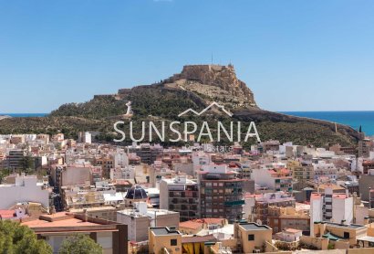 New Build - Penthouse -
Alicante - Centro