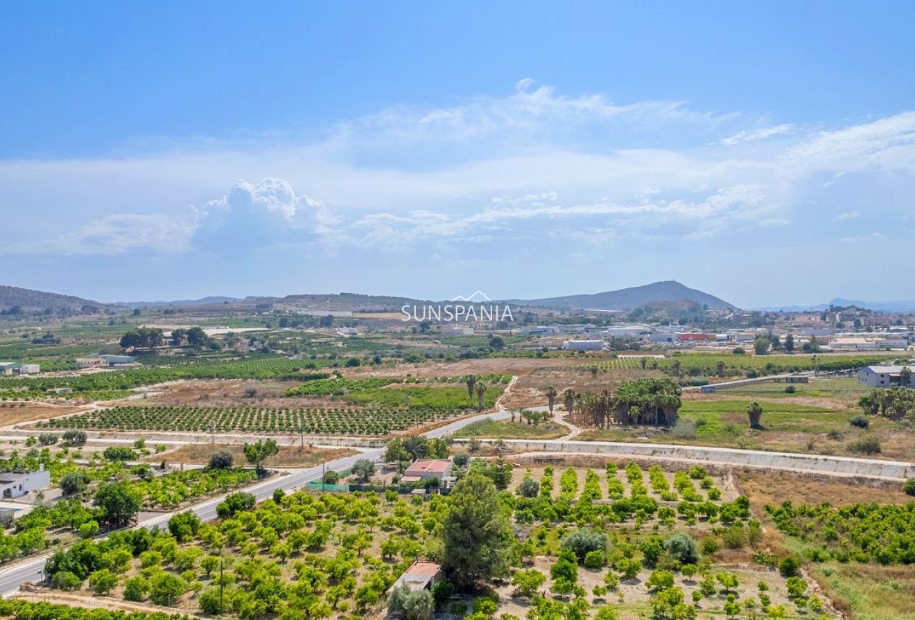 Obra nueva - Ático -
Jacarilla - pueblo