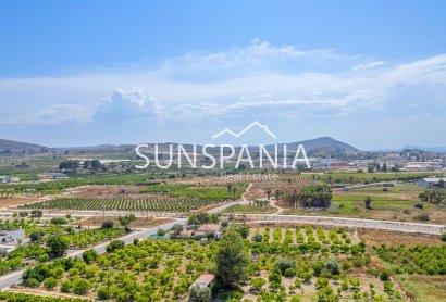 Obra nueva - Ático -
Jacarilla - pueblo