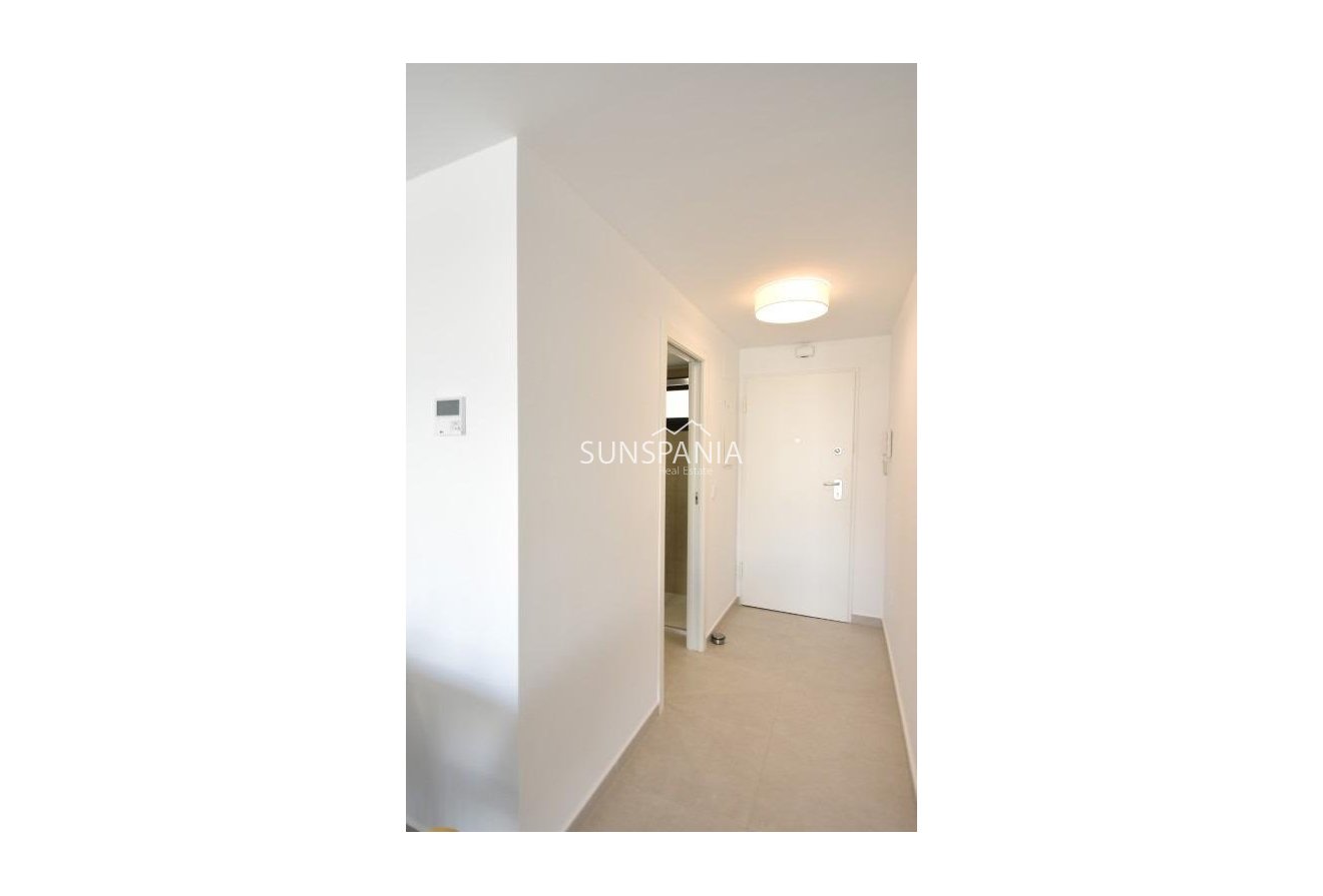 Obra nueva - Ático -
San Miguel de Salinas - Pueblo