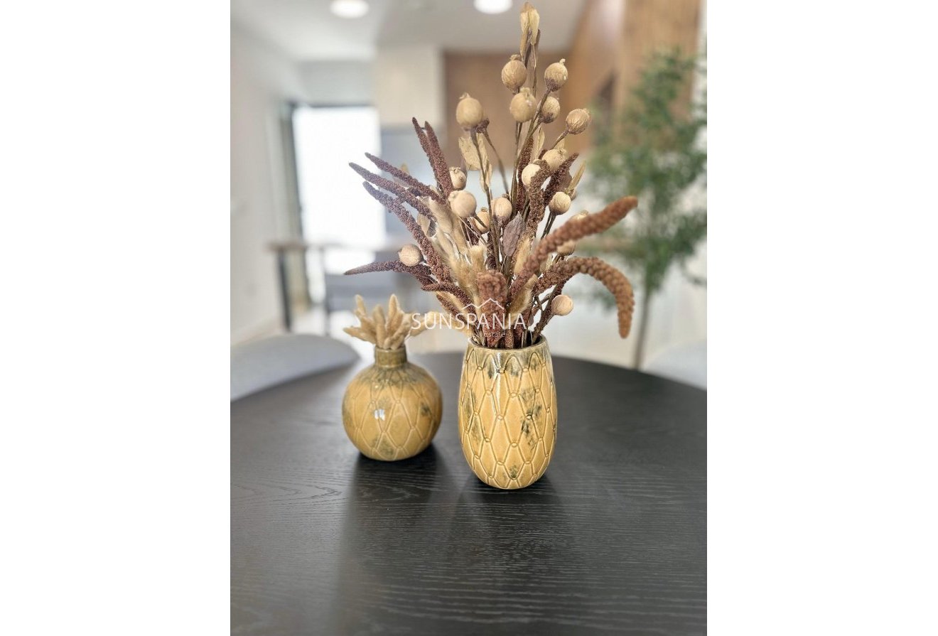 Obra nueva - Piso -
San Fulgencio - Pueblo