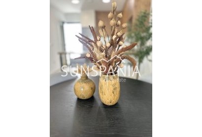 Obra nueva - Piso -
San Fulgencio - Pueblo