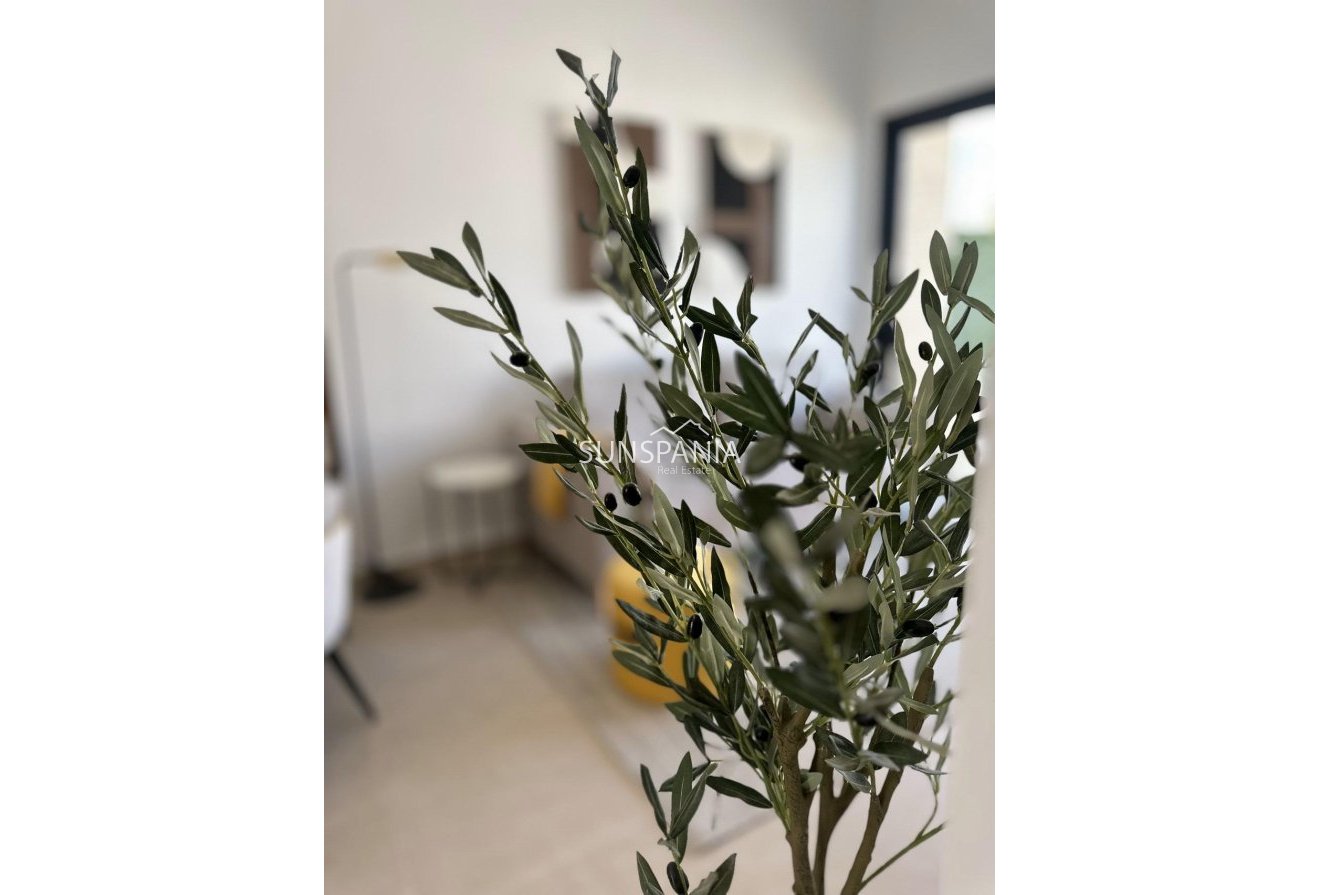 Obra nueva - Piso -
San Fulgencio - Pueblo