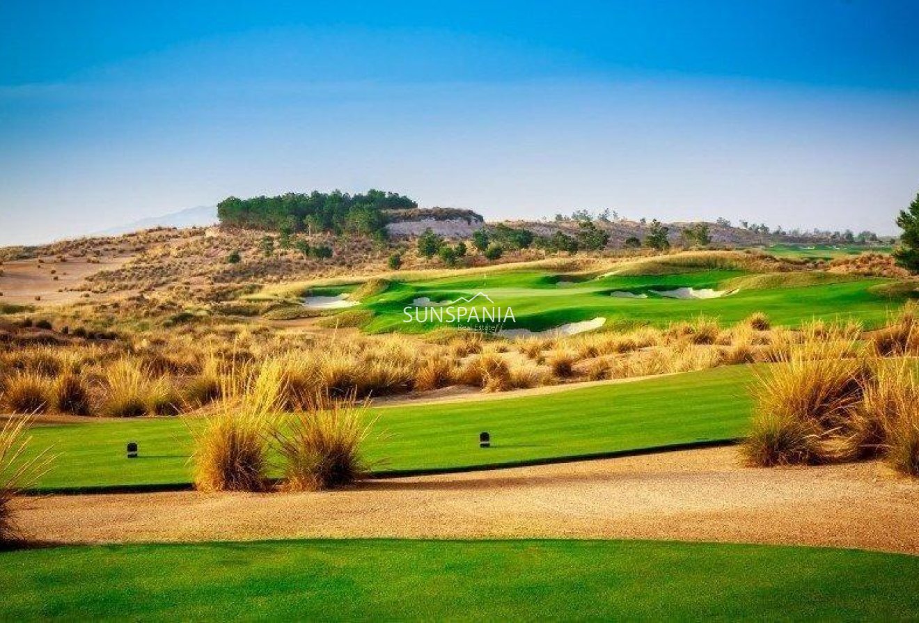 Obra nueva - Chalet -
Alhama De Murcia - Condado De Alhama