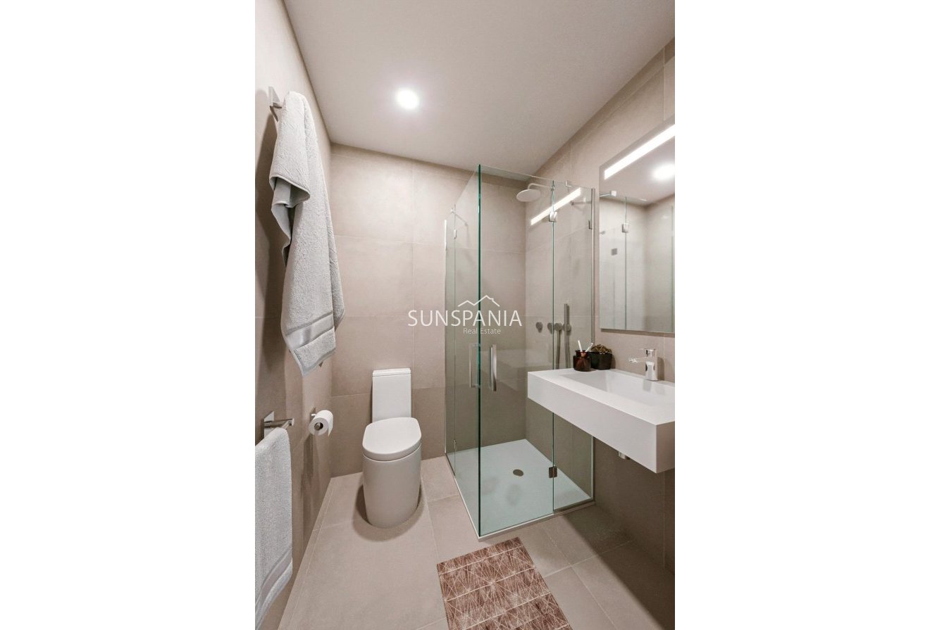 Obra nueva - Chalet -
Fuente Álamo - La Pinilla