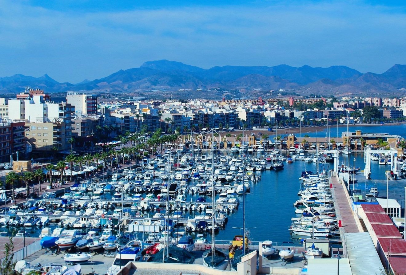 Obra nueva - Chalet -
Fuente Álamo - La Pinilla