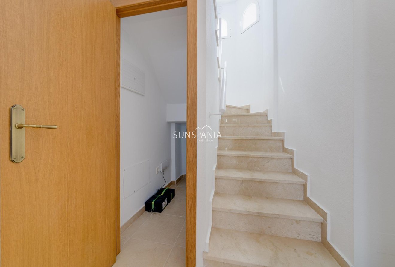 Obra nueva - Chalet -
San Fulgencio - El Oasis