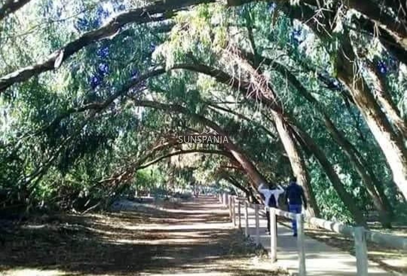 Obra nueva - Piso -
Torrevieja - Altos del Sol