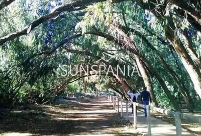 Obra nueva - Piso -
Torrevieja - Altos del Sol