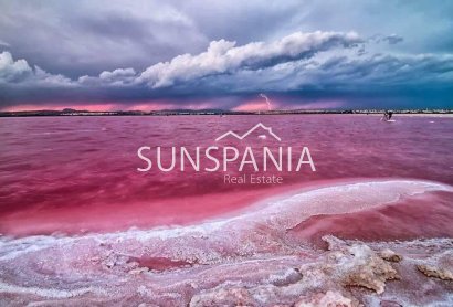 Obra nueva - Piso -
Torrevieja - Altos del Sol