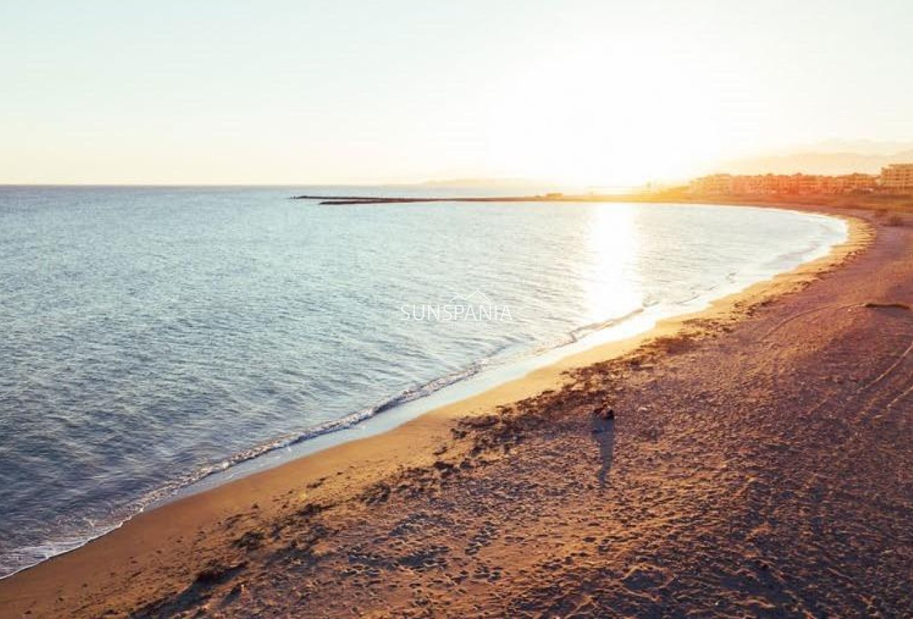 Obra nueva - Piso -
Almerimar