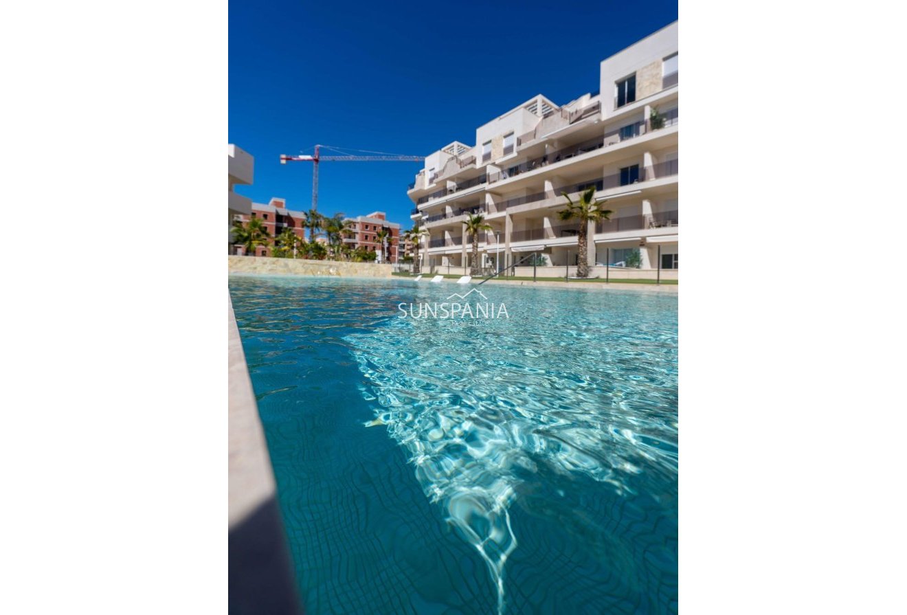 Obra nueva - Piso -
Guardamar del Segura - El Raso