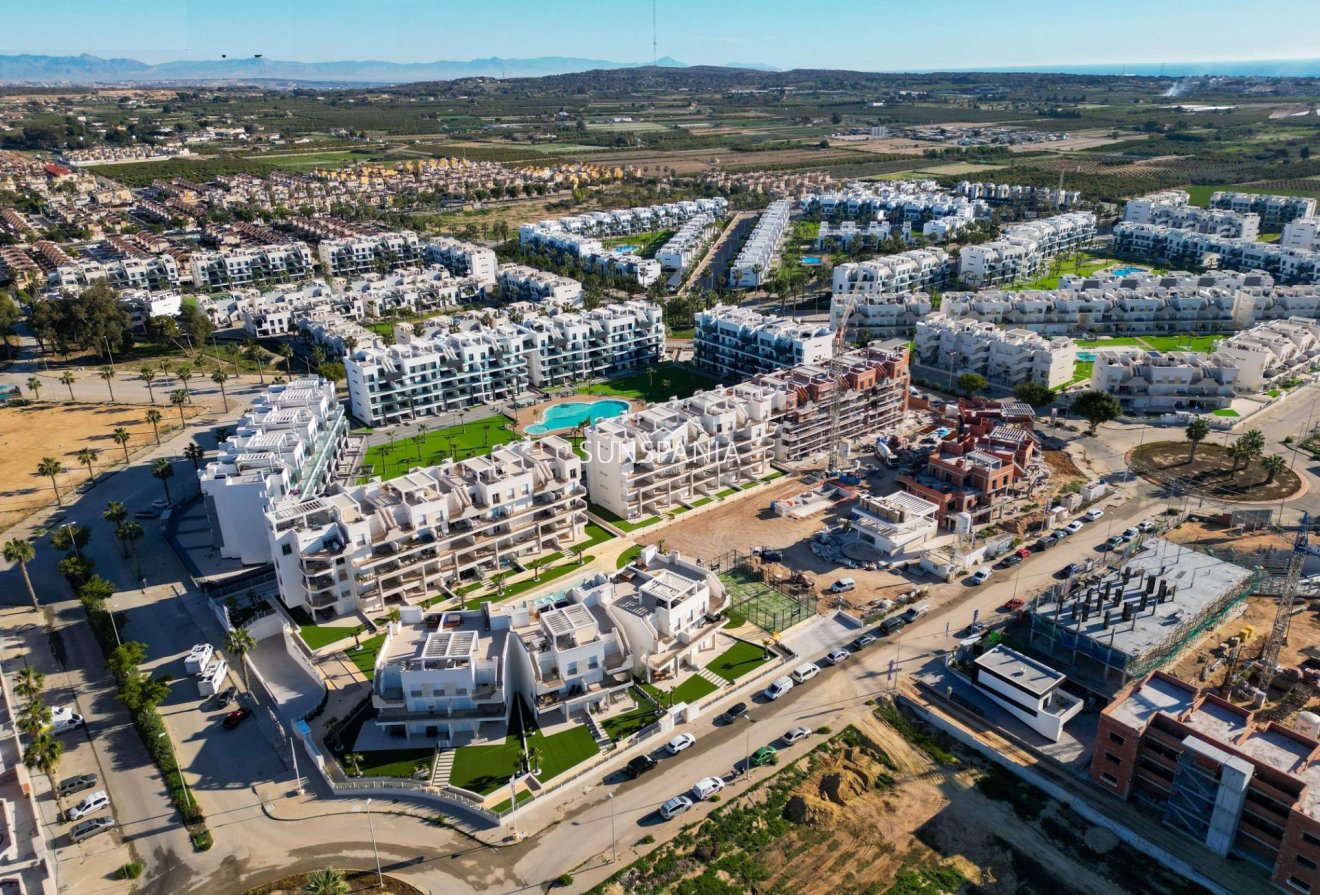 Obra nueva - Piso -
Guardamar del Segura - El Raso