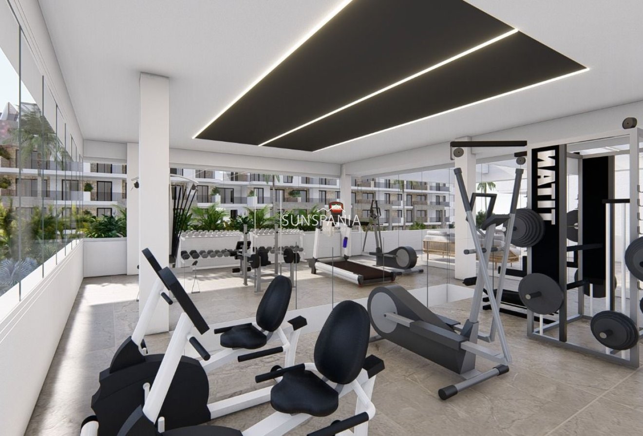 Obra nueva - Piso -
Guardamar del Segura - El Raso