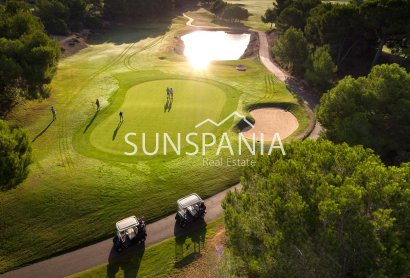 Obra nueva - Chalet -
Pilar de la Horadada - Lo Romero Golf